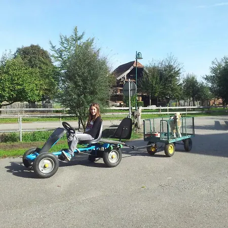 Haus Verena * Schwanenstadt