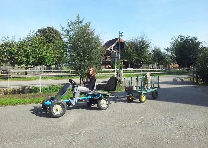 Haus Verena * Schwanenstadt